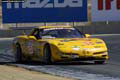 Photo by: ZOOMPICS.COM